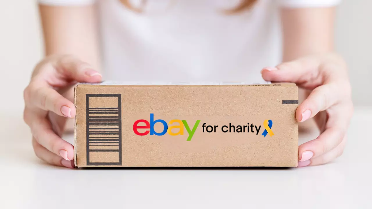 Ebay for charities