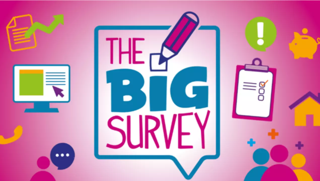 Big Survey cover