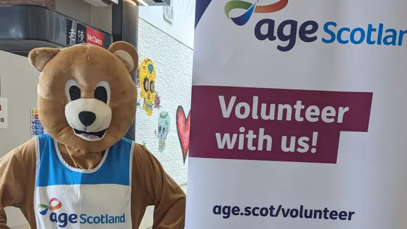 Volunteering bear costume